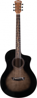 Washburn BTS 9 VCE CH