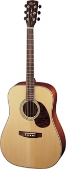 Cort Earth100F NS