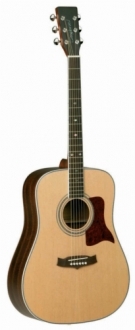 Tanglewood TW15NS