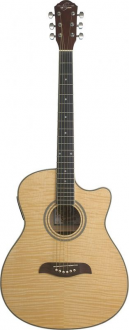 Washburn OA CE FN