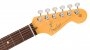 Fender American Professional Classic Stratocaster RW FSGM G��wka