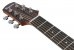 Ibanez AAD51CE-NT G��wka