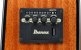 Ibanez AAD51CE-NT Elektronika