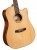 Cort Earth 60 CE NT Korpus