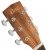 Cort Earth 60 CE NT G��wka