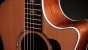 Taylor 514ce 2026 Korpus