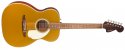 Fender California Deluxe Monterey E AZG Korpus