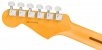 Fender American Professional Stratocaster RW BLK Klucze