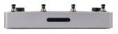 Zoom NEURIG Panel