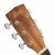 Cort Earth 60 NAT g��wka