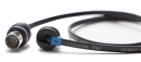 EBS BlueDot Midi Cable 180cm