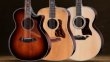 Taylor Tone Show z Piotrem S�ap� 13 listopada w Guitar Center!
