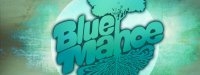 Blue Mahoe