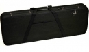 Ever Play PG-2 Electric Case