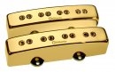 DiMarzio DP 302G Relentless J Set Gold