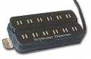 Seymour Duncan PATB-2
