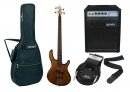 Cort Action Bass PJ OPW Bundle 1 