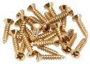 Fender Wkręty Do Płyty Maskującej Gold