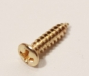 WSC WO2.9 4X13-GD Mount screws